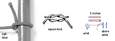 Knots