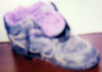 Purple interior shoe with lace