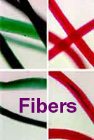 Fiber evidence