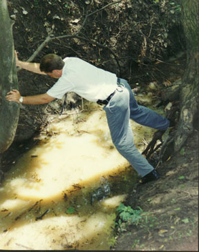 Entering the creek