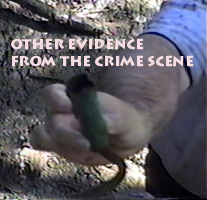 Evidence at the crime scene