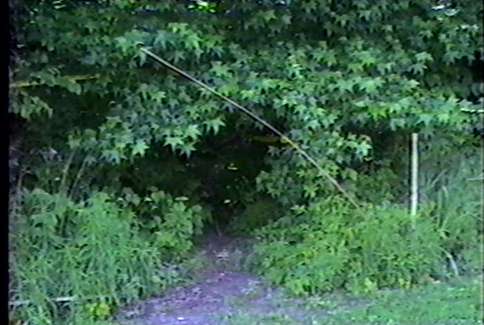 Murders In West Memphis